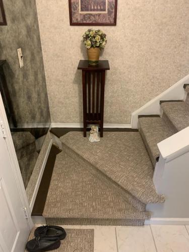 Carpet-Runner-Riverview-G2